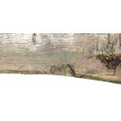 Historischer Schriftbalken von Torbogen - unbeschriftet