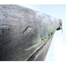 Historischer Schriftbalken von Torbogen - unbeschriftet