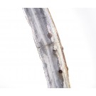 Historische Rundbogenfenster - noch 2 Stück auf Lager