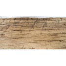 Regalbohle stark und alt