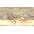 Chice Regalbohle aus Altholz