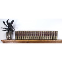 Meyer's Konversationslexikon, 20 Bände