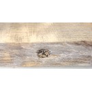 Alte Eichenbohle mit feiner Patina